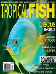 Tropical Fish Hobbyist magazine