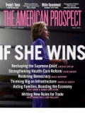 THE AMERICAN PROSPECT magazine